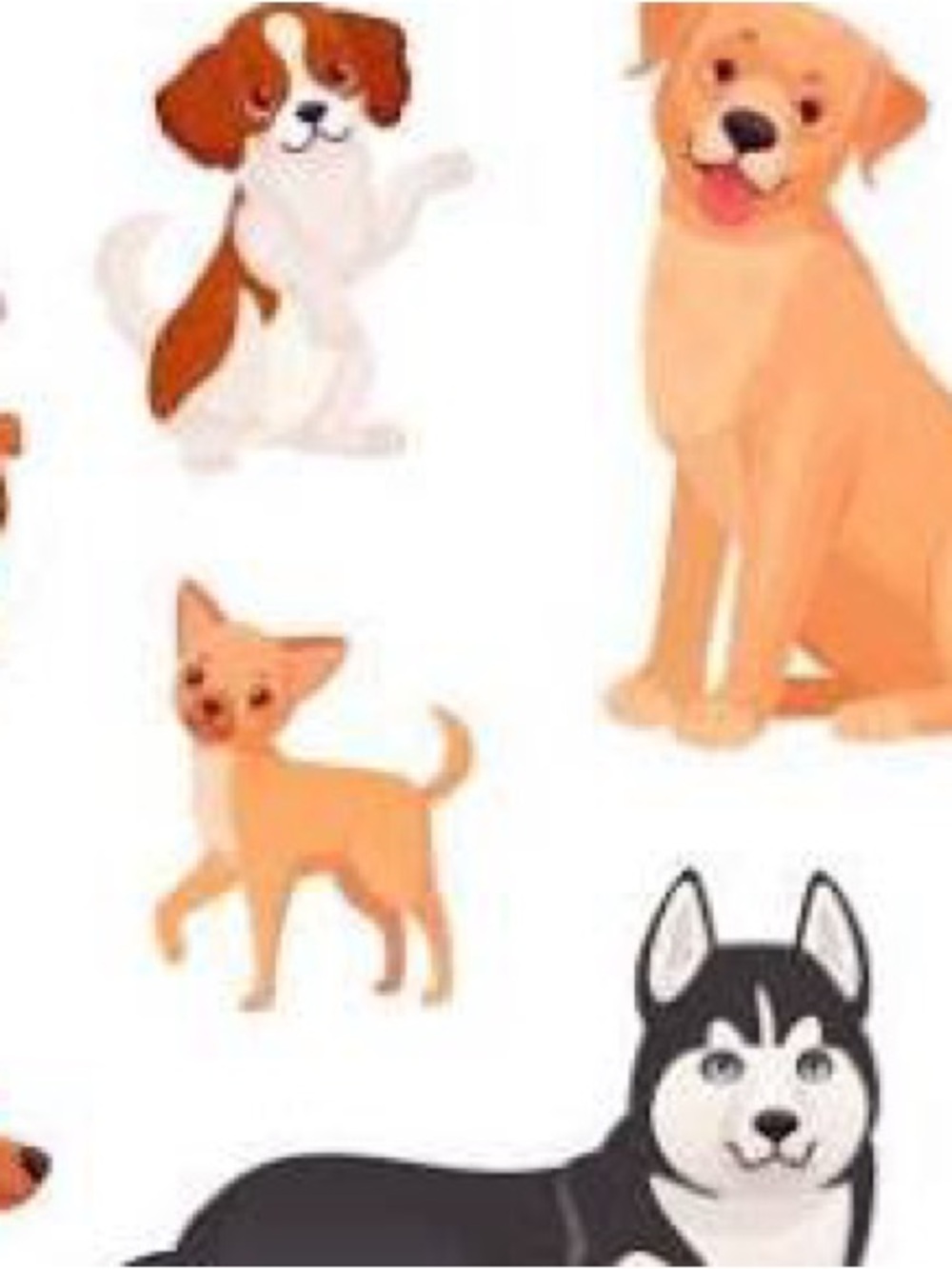 Doggone Mystery box- new and lightly loved items for dog lovers gift box 🐶